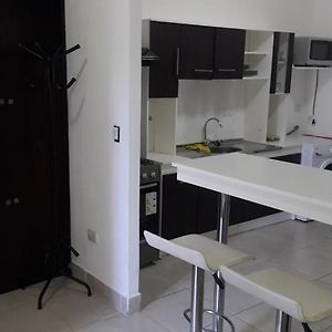 Departamento centrico y amplio, 6 personas, NQN.
